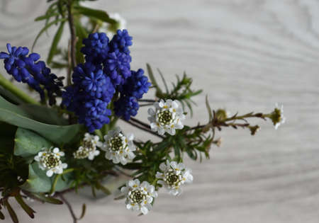 Bouquet of flowers.の写真素材