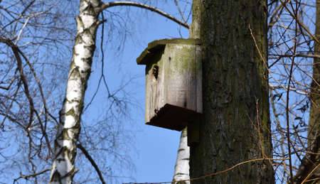 Bird house at the parkの写真素材