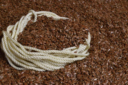 Scattered linseed over ground close-upの写真素材