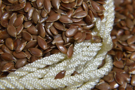 Scattered linseed over ground close-up.の写真素材