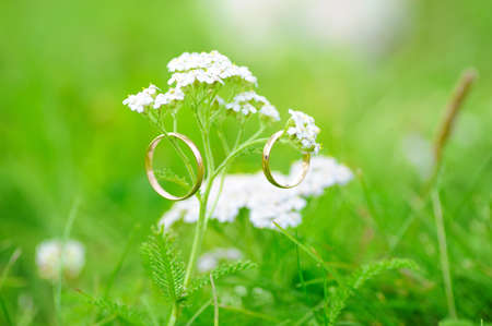 Wedding rings are on the wildflowersの写真素材