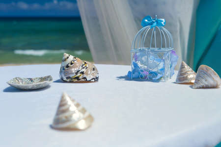 Accessory kit for a wedding on the shore of the caribbean seaの写真素材