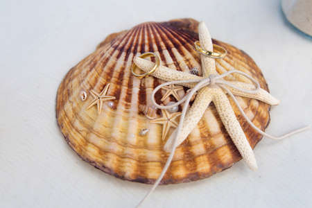 Accessory kit for a wedding is on the shores of the Caribbean Sea.の写真素材