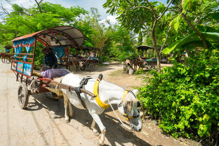 HO CHI MINH CITY, VIETNAM - JUNE 26, 2016: Asian woman in triangular hat and mask is leading the carriage with a horse for transportation of passengers in the Vietnamese tropical village in hot summer dayのeditorial素材