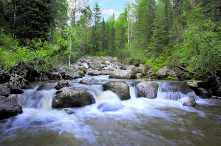 The big mountain river flows down on big stones through the wood