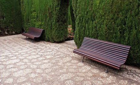 bench