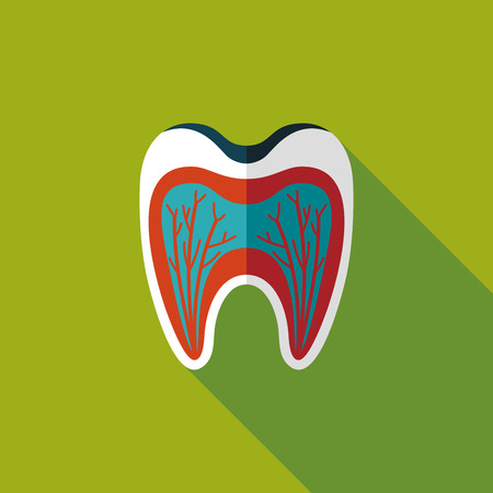 Tooth Flat style Icon with long shadowsのイラスト素材