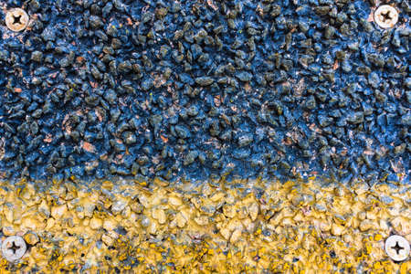 bolt over asphalt tarmac texture background.の写真素材