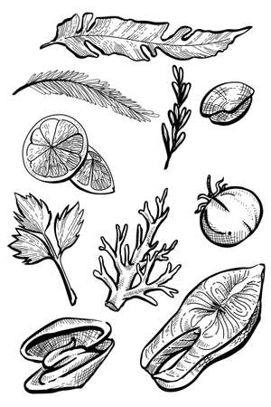 Black and drawn hand drawn seafood set elementのイラスト素材