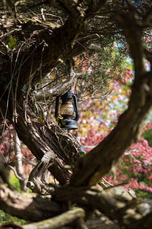 An old lantern hanging from a tree in a colorful spring garden.の写真素材