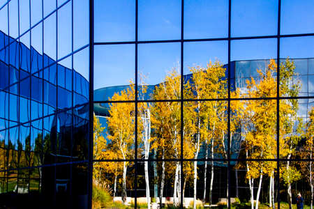 office window reflecting fall treesの写真素材