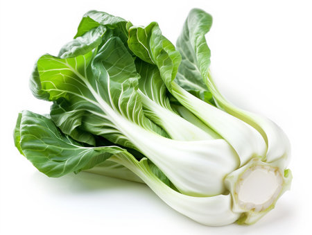 Bok choy (chinese cabbage) isolated on white backgroundの素材