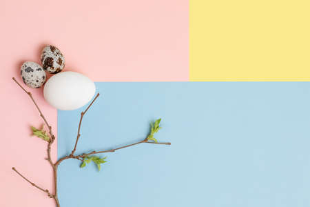Decorative composition - quail and chicken eggs and a spring branch on a delicate pink, blue and...