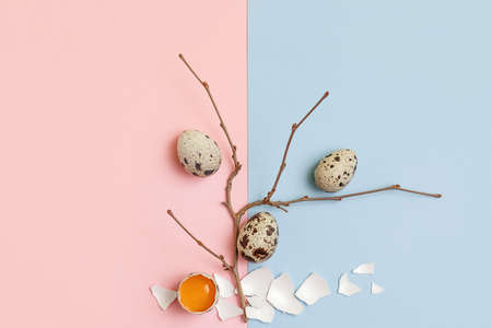 Decorative composition - quail eggs and a spring branch on a delicate pink-blue background. The...