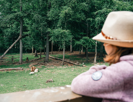 Woman Observing a Bear in a Forest Habitatの写真素材