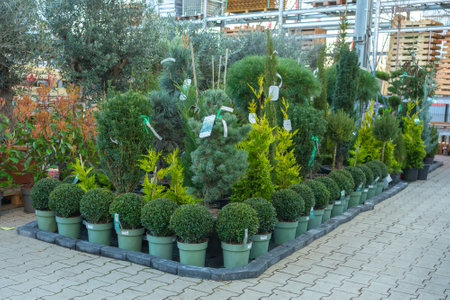 Collection of Potted Plants at Garden Center Storeの写真素材