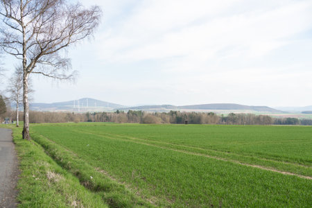Scenic Green Field with Distant Wind Turbines Viewの写真素材