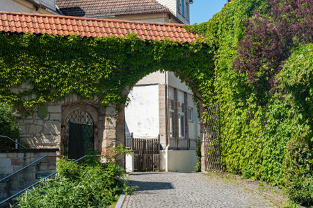 Charming Archway with Lush Greenery in Sunlightの写真素材