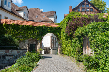 Charming Alleyway with Ivy-Covered Archway on aの写真素材