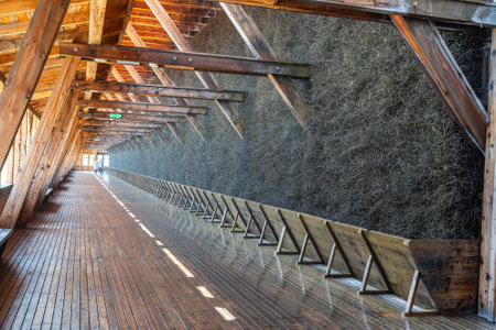 Wooden Salt Inhalation Hall with Long Walkwayの写真素材