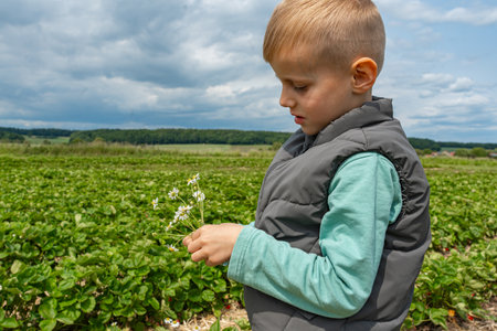 Child Holding Wildflowers in Countryside Fieldの写真素材