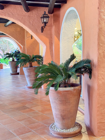 Elegant Terracotta Pots with Greenery in Rusticの写真素材