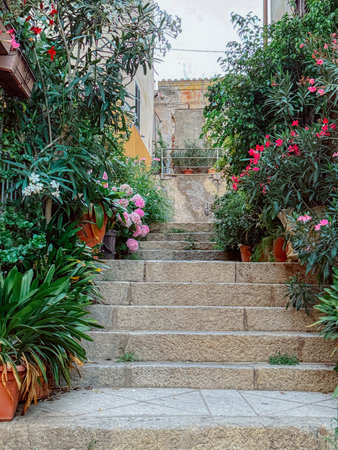 Stone Staircase Adorned with Lush Flowersの写真素材