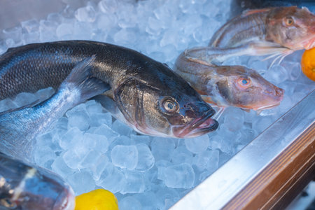 Fresh Fish on Ice Display at Market Counter