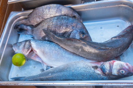 Fresh Fish with Lime in Stainless Steel Sinkの写真素材