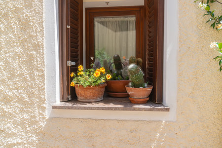 Vibrant Windowsill Garden with Potted Plants andの写真素材