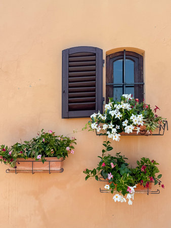 Vibrant Flower Boxes on Rustic Wall with Openの写真素材