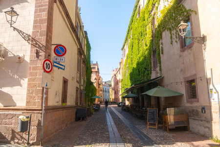 Charming Alleyway with Greenery and Outdoor Diningの写真素材