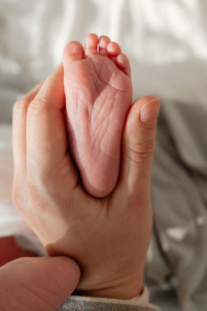 Close detail of infant foot in adult hand. Idealの写真素材