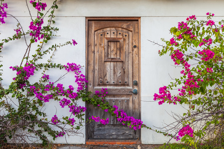 Vintage wooden door framed by climbing flowers/bougainvillea trellis plant growing on the facade of a houseの写真素材