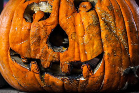 Creepy decaying carved pumpkin / haloween conceptの写真素材