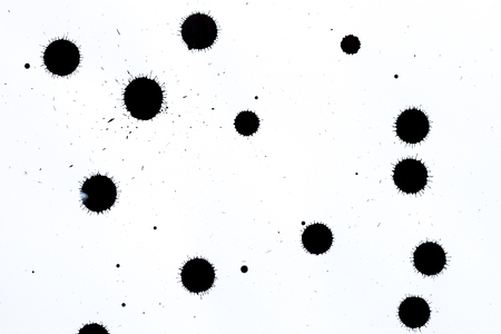 Black ink splashes on white textured paper for brushes and graphic designの写真素材