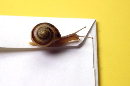 Snail Mail Conceptの写真素材