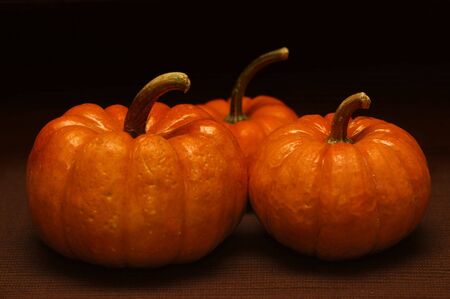 Three Pumpkinsの写真素材