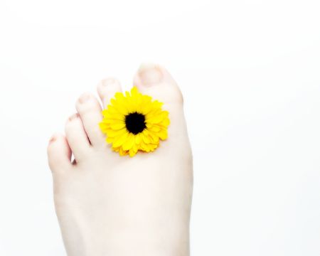 A yellow daisy placed between the toes of a person's foot.の写真素材