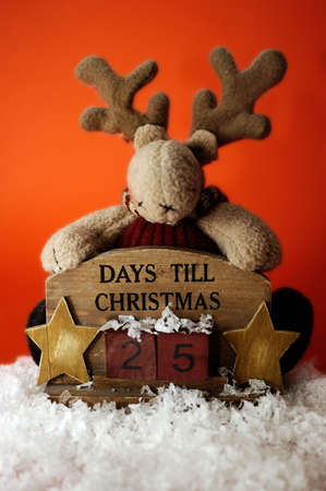 A reindeer counting down to christmas. Twenty-five days to christmas.の写真素材