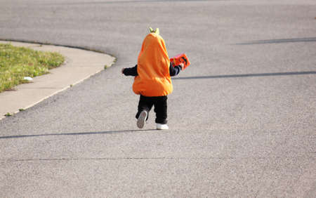 Runaway pumpkinの写真素材