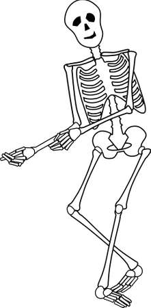 Smiling Skeleton posed to sell productのイラスト素材