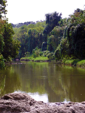 Creek before the Lakeの写真素材