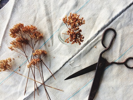 life style, old scissors and dry herbs.