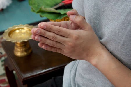 press the hands together at the chestの写真素材