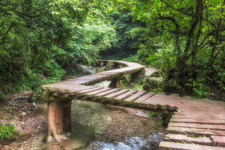 forest bridge of Qingcheng Mountain, Chengdu, Sichuanの写真素材