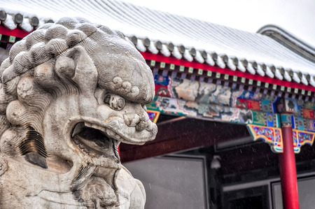 Stone lion at Tsinghua Hall, Beijing, Chinaのeditorial素材