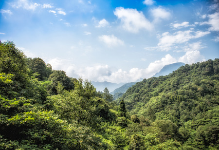 Hailuogou, Luding, Sichuanの写真素材