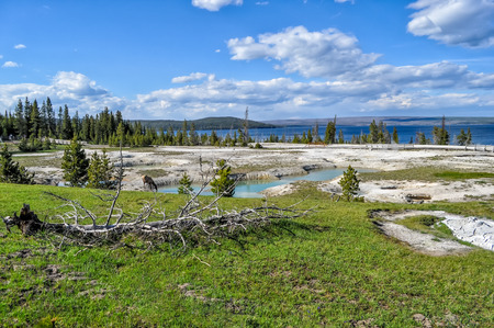 Yellowstone National Park, USAの写真素材