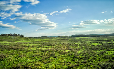 Yellowstone National Park, USAの写真素材